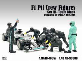Figures diorama - Team Black #3 2020 silver - 1:18 - American Diorama - 76557 - AD76557 | Toms Modelautos